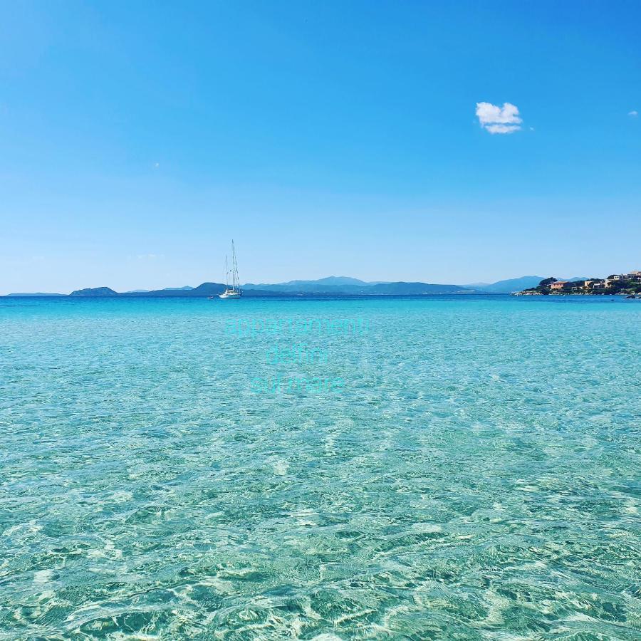 Appartamento Delfino Bianco