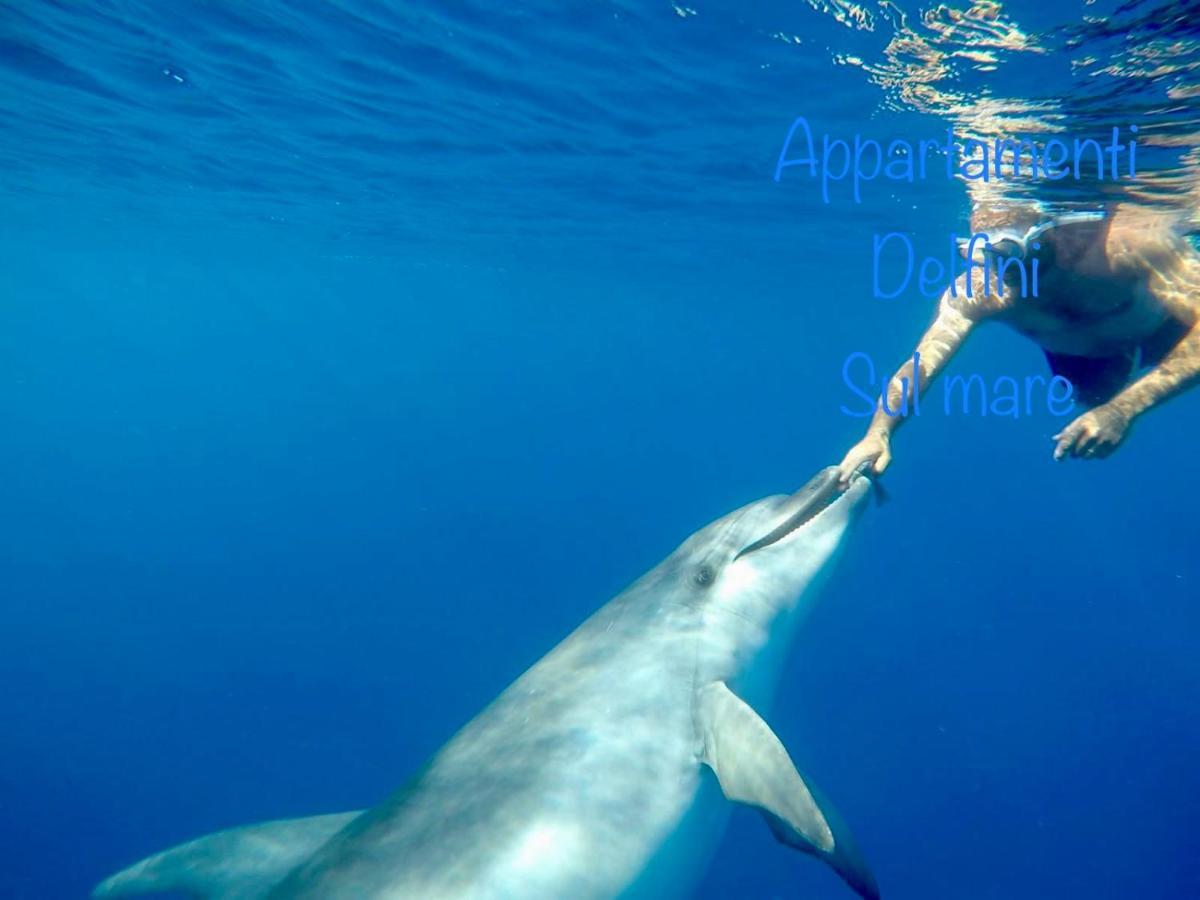 Delfino Bianco Appartamento